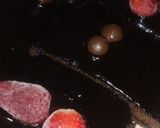 صورة لخطوة 7 من وصفة شاتوة جاتو بالشوكولاته 😋