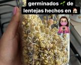 Foto del paso 13 de la receta: Germinados 🌱 lentejas orgánicos