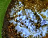 A picture of step 7 of Bubur Kacang Hijau / Sweet Mung Beans Porridge.