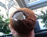 A picture of step 5 of Rum coconut cocktail.