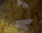 Foto del paso 5 de la receta: Un arroz, mil ideas: 🥘 Arroz amarillo con pollo, queso y perejil súper cremoso