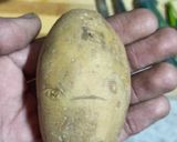 A picture of step 4 of Methi Aloo Ki Sabzi.