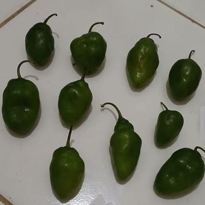 Langkah 1