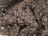 Hamburguesas de porotos negros (sin pan rallado)