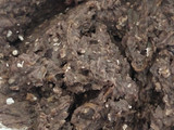 Hamburguesas de porotos negros (sin pan rallado)