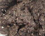 Foto del paso 2 de la receta: Hamburguesas de porotos negros (sin pan rallado)