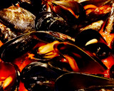 Foto del paso 6 de la receta: Mejillones con salsa de tomate al vino blanco y cayena