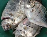 Foto langkah ke 1 dari resep Ikan Putih bakar Bumbu Padang.