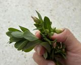 馬齒莧濃湯佐威士忌優格的食譜步驟1照片
