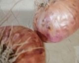 A picture of step 1 of Mangochatni #mangotango.