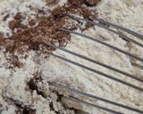 Foto langkah ke 4 dari resep Brownies Sehat tanpa Gula Sat Set.