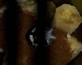 Foto langkah ke 2 dari resep Banana Choco Bread Gluten Free.