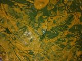 अळूवडी (aluvadi recipe in marathi)