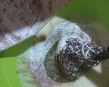 Foto langkah ke 4 dari resep Bolu kukus cokelat gluten free.