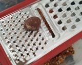 Foto del paso 3 de la receta: Trufas