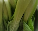 Gambar langkah 4 resipi Bok Choi Siram Sos Tiram.