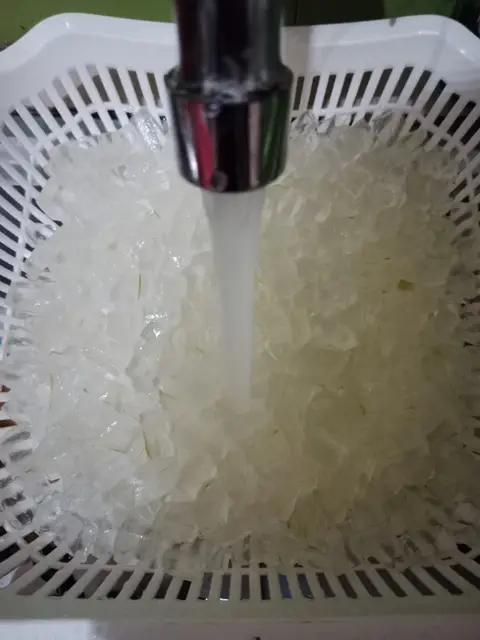 Langkah-langkah untuk membuat Cara membuat Es lidah buaya khas Pontianak(Homemade)
