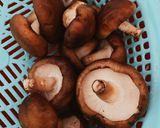 Hình bước làm 1 của món Nấm đông cô kho tiêu