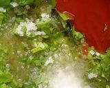 👩🏻🍳મેક્સિકન બીન સલાડ🥗 (Mexican Bean Salad Recipe In Gujarati) રેસીપી સ્ટેપ3ફોટો
