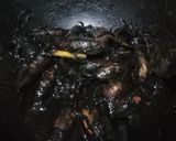 Foto langkah ke 8 dari resep Cumi Hitam.