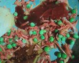 A picture of step 3 of Vegan noodles.
