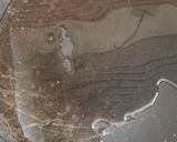 A picture of step 1 of Sweet corn curry.