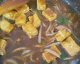 A picture of step 10 of Mangolian Stir fry Tofu.