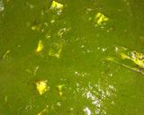 A picture of step 10 of Palak paneer.