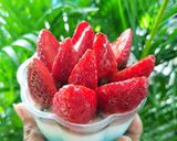 Foto langkah ke 3 dari resep Puding Hias Full Buah.