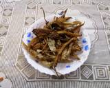 Dahi ke Mirch/Curd Chillies recipe step 2 photo