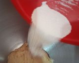 Foto del paso 3 de la receta: Pandoro