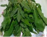عکس مرحله 1 از دستور تره اسفناج (تـــَــرَه)