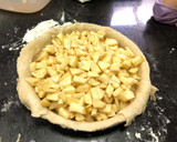 Foto del paso 5 de la receta: Apple pie (el tradicional)