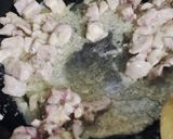 صورة لخطوة 1 من وصفة غراتان بزاف بنين
