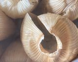 Foto del paso 5 de la receta: Tamales vencidos!!