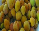 صورة لخطوة 1 من وصفة مربى المشمش
