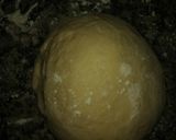 Foto del paso 3 de la receta: Bollos preñaos con Mastermix