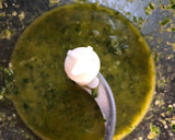 Foto del paso 1 de la receta: Mojo de cilantro