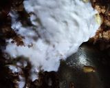 A picture of step 4 of Butter Qeema aur Butter Roti.