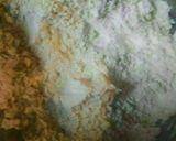 A picture of step 2 of Autumn Soda Bread.