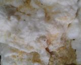 Foto del paso 8 de la receta: Pastel de zapallitos