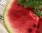 Foto del paso 1 de la receta Sorbete de Sandía 🍉