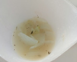 Foto del paso 2 de la receta: Crema de cebolla a la cerveza