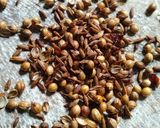 কাঁচাকলার ডালনা (kachakolar dalna recipe in Bengali) রেসিপির ধাপ 3 ছবি