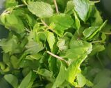A picture of step 1 of Mintade.