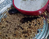 மட்டன் வறுவல் (கொங்கு ஸ்டைல்) ரெசிபி ஸ்டேப் 1 புகைப்படம்