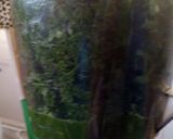 A picture of step 2 of Kigwada (cassava leaves)#Authorsmarathon.