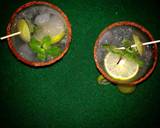 Amla Mojito recipe step 11 photo