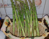 Foto del paso 2 de la receta: Espárragos trigueros a la plancha