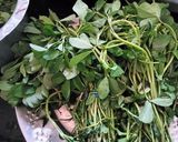 A picture of step 1 of Fenugreek leaves Sabji (Methi leaves Sabji).